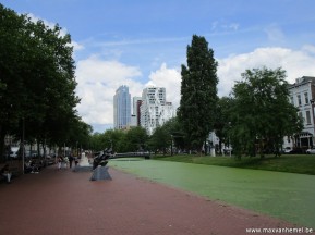 Rotterdam wandeling